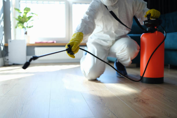Reliable Biohazard contractor in Blue Ridge, GA by Crime Scene Cleaner Online